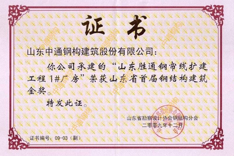 鋼結(jié)構(gòu)金獎(山東勝通集團(tuán)股份有限公司鋼簾線擴(kuò)建工程1號車間工程)